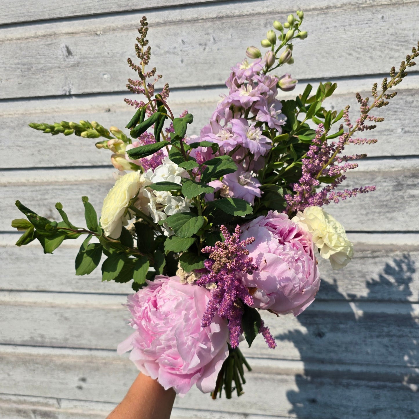Spring Subscription