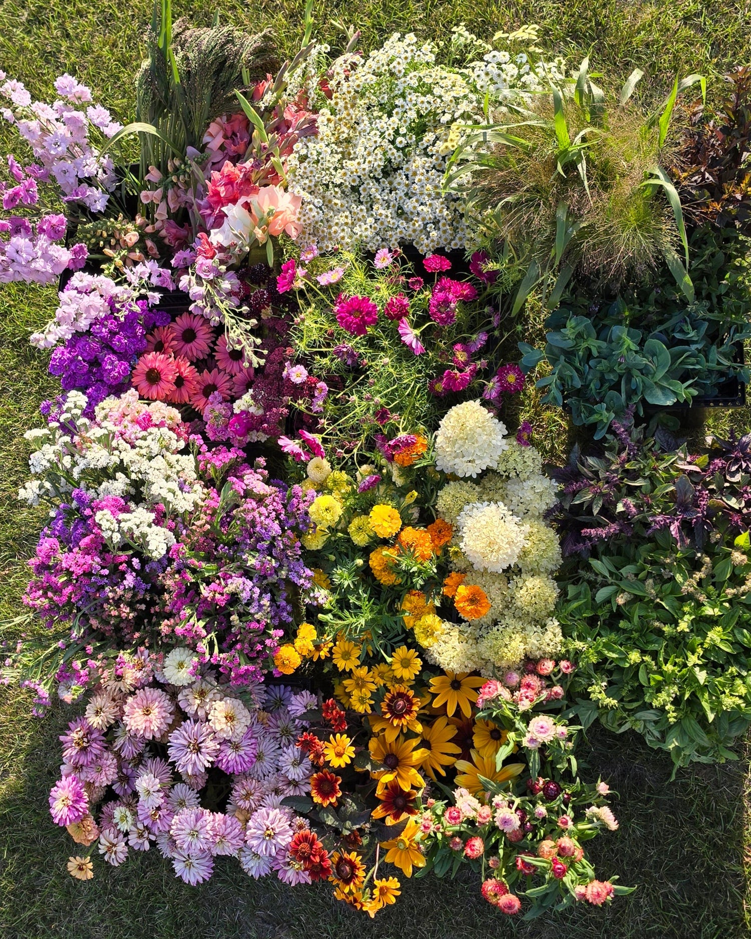 Wholesale Florals