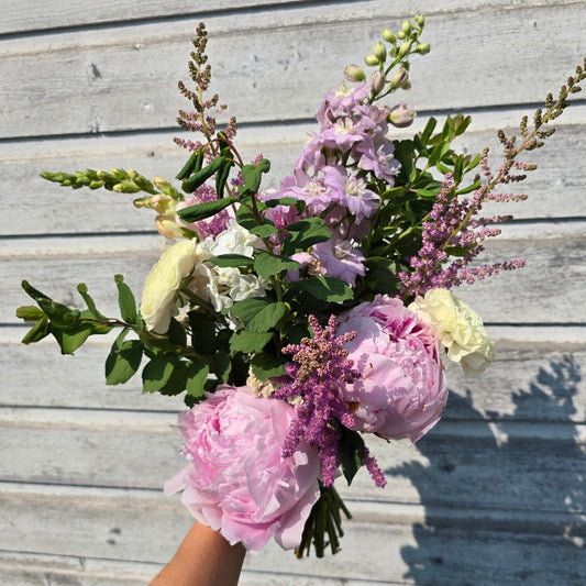 Spring Subscription
